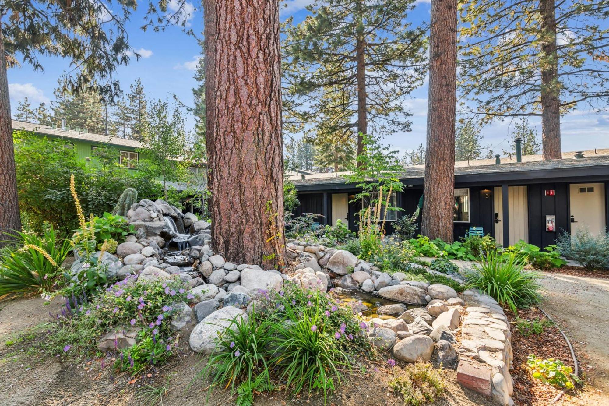 South Lake Chalet-Boutique Suite-Minutes To Heavenly & Lake Tahoe South Lake Tahoe Dış mekan fotoğraf